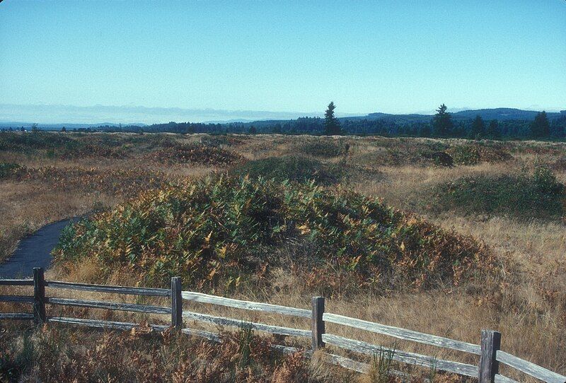 File:MIMA MOUNDS.jpg