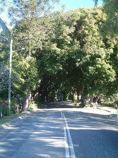 File:Mango Avenue, Eimeo.jpg