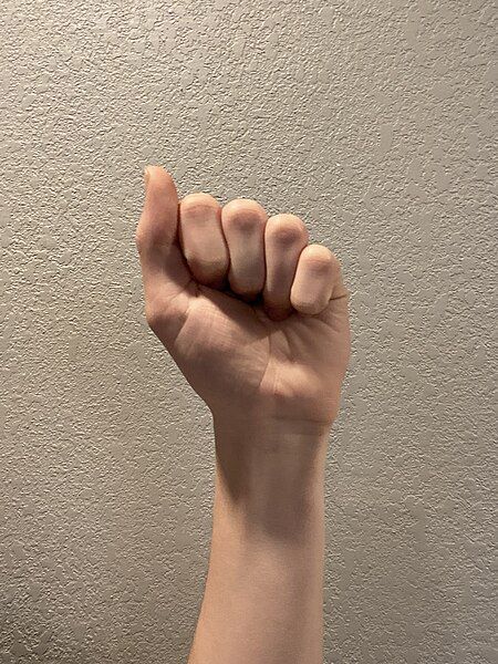 File:Open fist.jpg