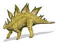 Stegosaurus, from North America