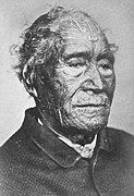 Tāmati Wāka Nene (Ngāpuhi)