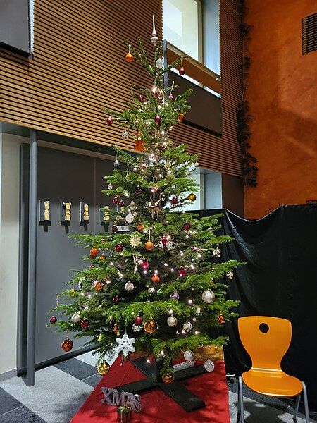 File:Weihnachtsbaum baum.jpg