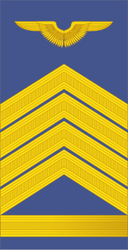 File:Angola-AirForce-OR-9.svg