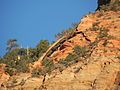 Crawford Arch on Bridge Mountain