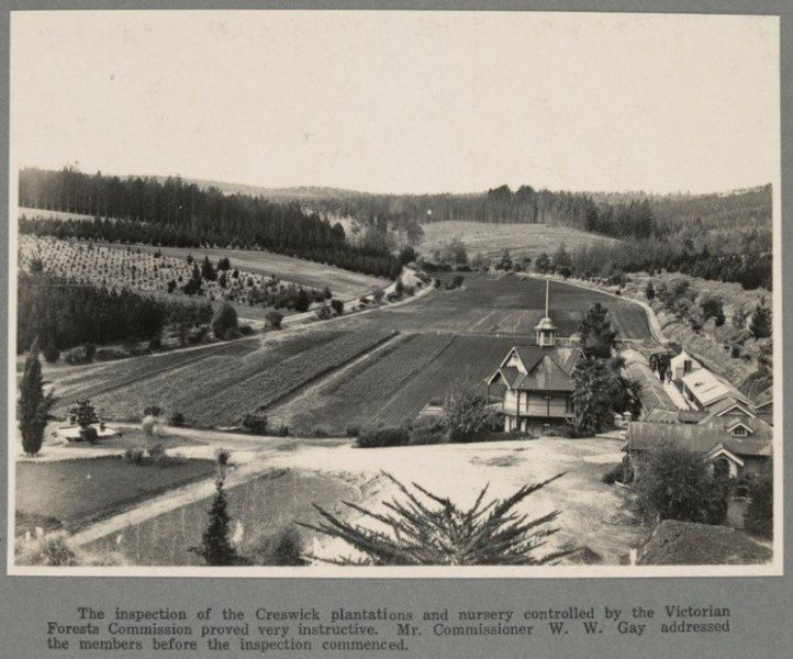 File:Creswick nursery.jpg