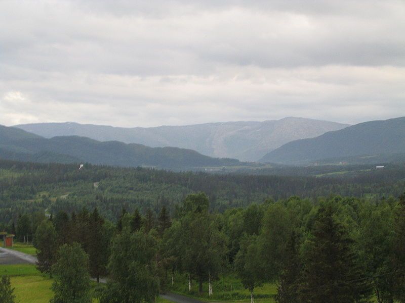 File:Drevjedalen-2006-07-15.JPG