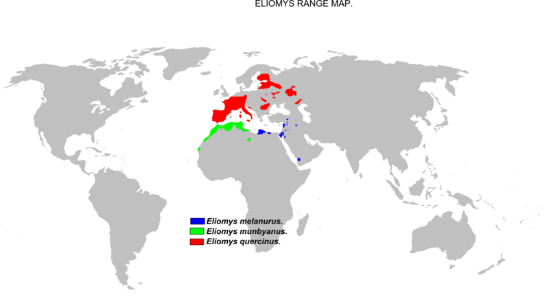 File:Eliomys range map.png