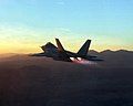 F 22 Raptor w/ afterburners