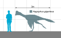 Hagryphus