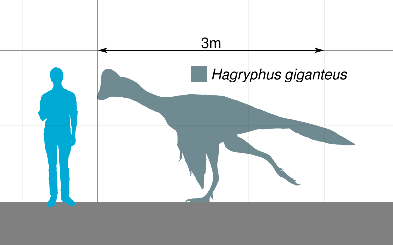 File:Hagryphus Scale.svg