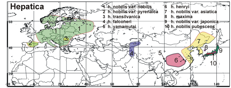 File:Hepatica distribution EurAsia.png