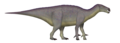 Iguanodon