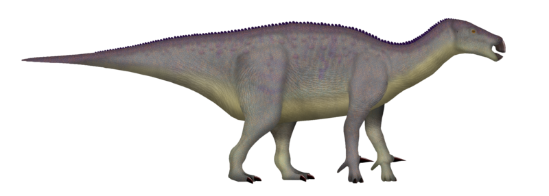 File:Iguanodon UDL.png