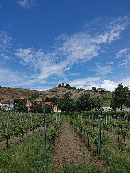 File:Landscape with winery.jpg