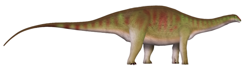 File:Maraapunisaurus UDL.png