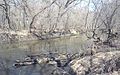 North Fork Zumbro River in Zumbrota