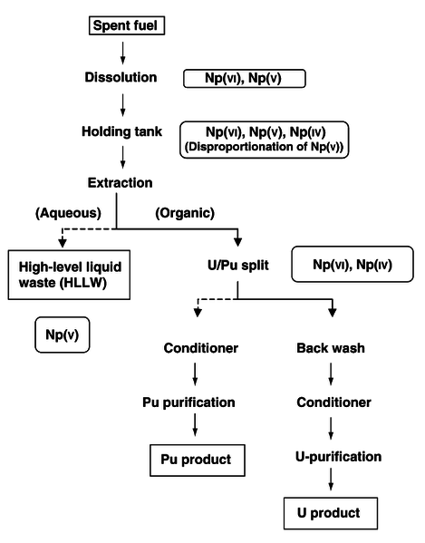 File:Neptunium Purex process.png