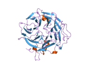 2b4e: Crystal Structure of Murine Coronin-1: monoclinic form