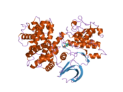 2jgz: CRYSTAL STRUCTURE OF PHOSPHO-CDK2 IN COMPLEX WITH CYCLIN B