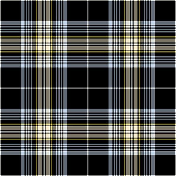 File:Pascoe Family Tartan.jpg