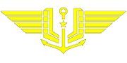 Arm insignia of personnel of Naval aviation