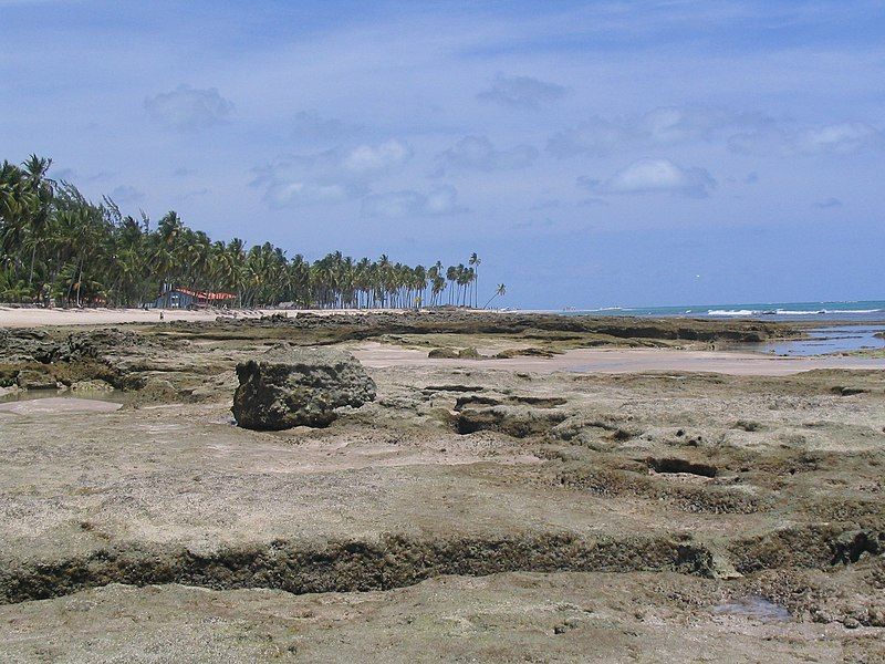 File:Tamandare beach.jpg