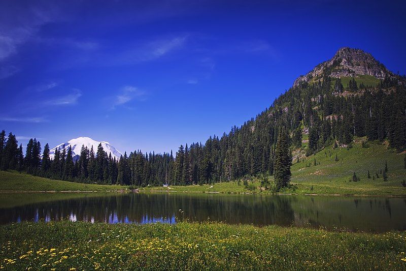 File:Tipsoo Lake.jpg