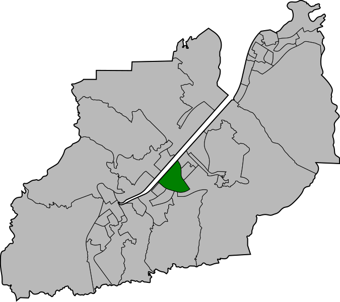 File:WongUkConstituency.svg