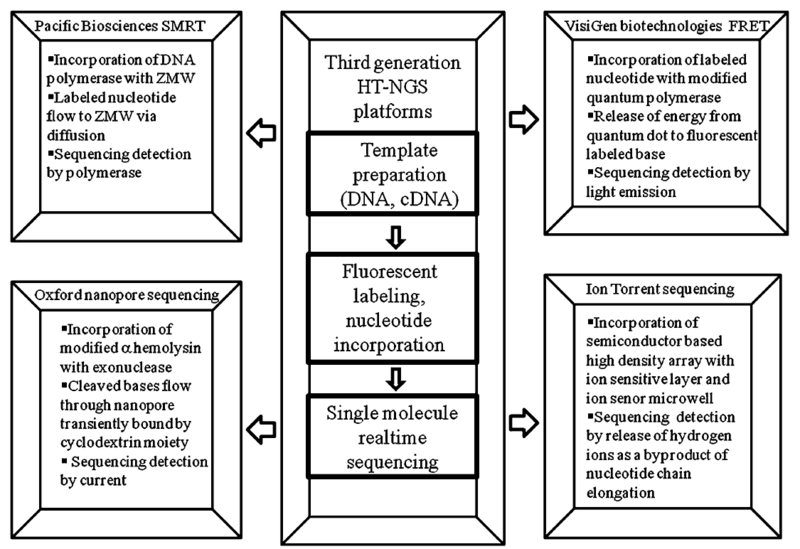 File:3rd Generation Sequencing.png