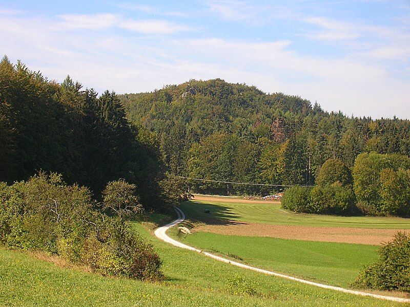 File:Burgstall Schlossberg,Ansicht1.jpg