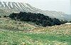 The cedars of god, a group of cedars growing in the middle ground with a stony area in the foreground and a ridge with snow patches in the background