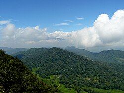 Bitaco Forest Reserve and tea plantation, Chicoral