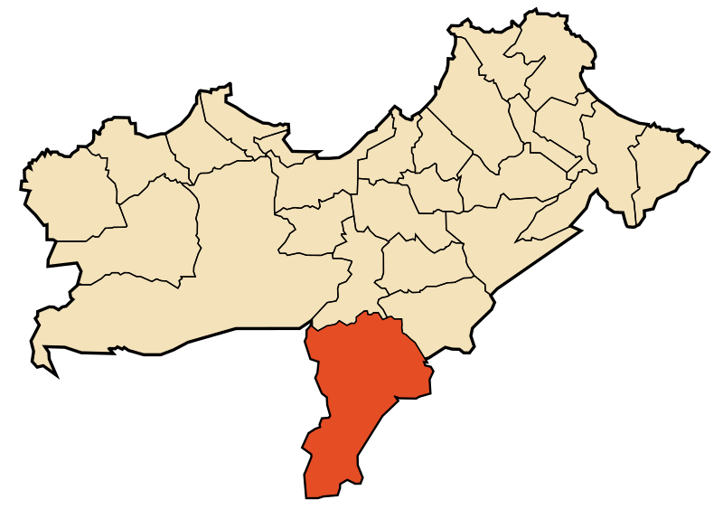 File:DZ 31 Tafraoui.svg