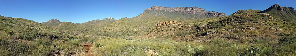 Chisos Mountains from the Dodson Trail, Big Bend National Park, Texas