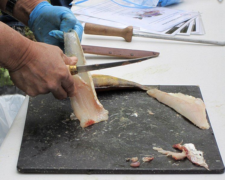 File:Filleting-01.jpg