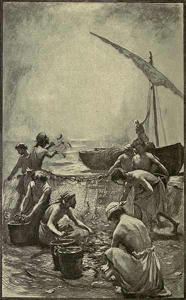 File:Fishing on Galilee.jpg