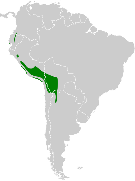 File:Fulica ardesiaca map.svg