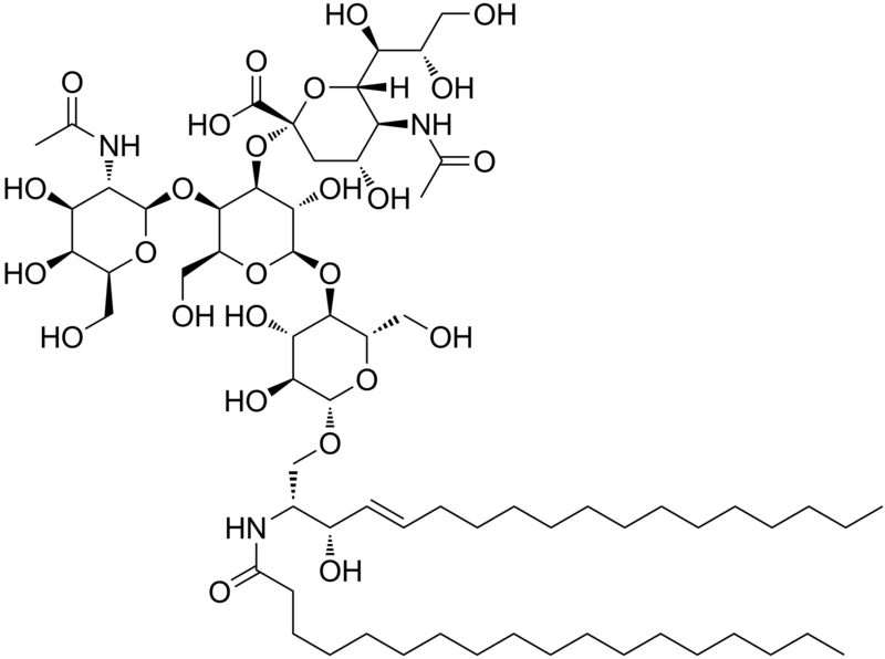 File:GM2 ganglioside.png