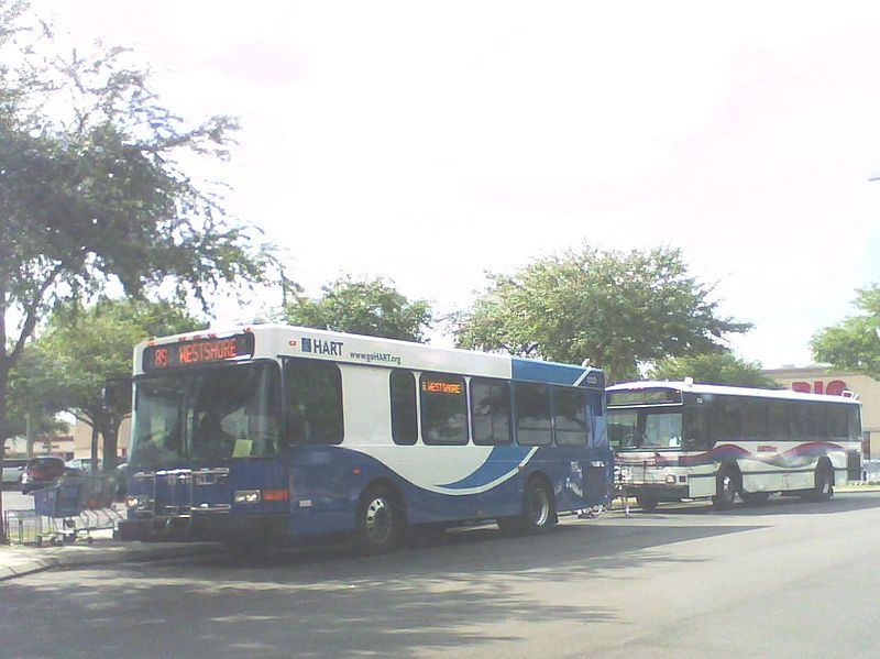 File:HART Bus -2223.JPG