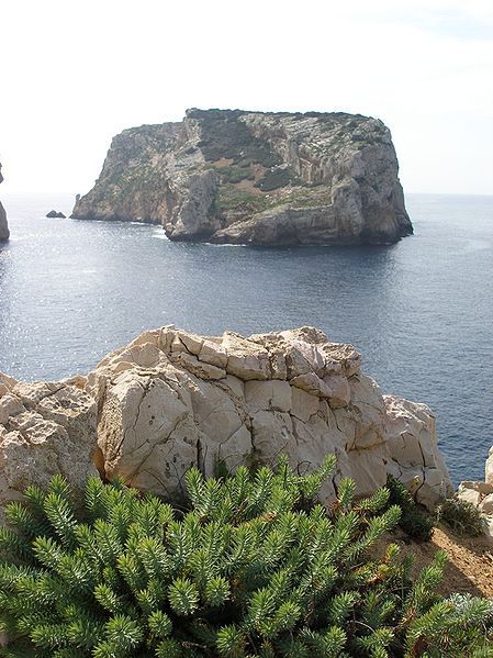 File:Isola Piana Alghero.jpg