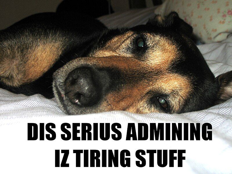 File:Loldogadmin.jpg