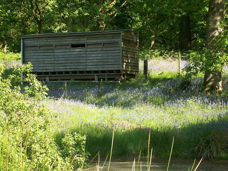 File:Nagshead Lower Hide.jpg