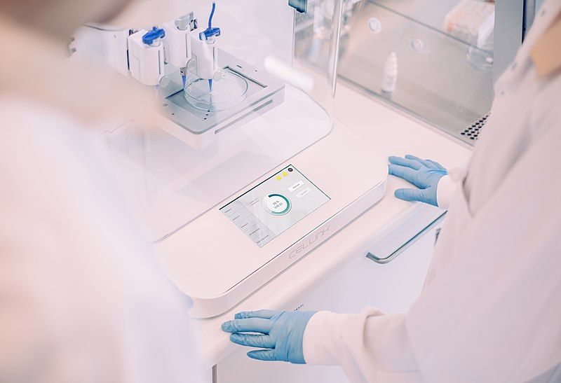 File:Observing bioprinting.jpg