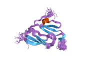 1y7x: Solution structure of a two-repeat fragment of major vault protein