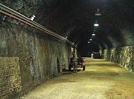 A photograph of a white horse approaching the viewer and drawing a carriage down a grey-brick-lined tunnel lit by circular ceiling lights