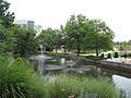 Library Pond