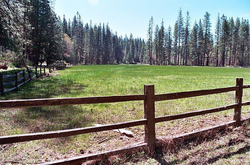 File:Vernal pool.jpg