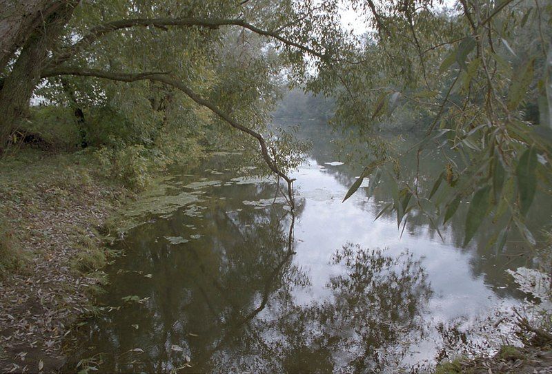 File:Vozha river.jpg