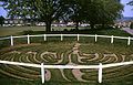 Turf maze at Wing in Rutland, UK.