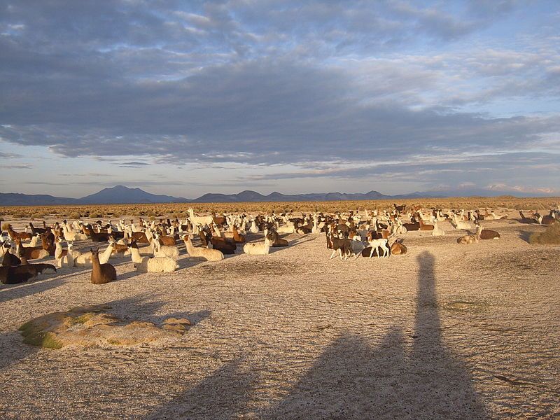 File:Amanecer en Sik'iri.JPG